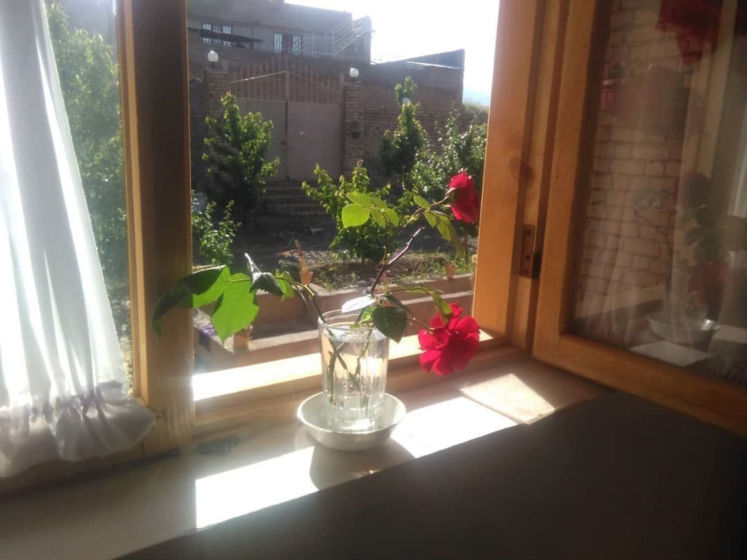 عکس بوم گردی آقاجان - سوییت دبل