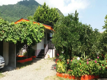 عکس ویلای یک‌خوابه هنر