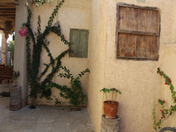 عکس بوم‌گردی پرویز (سینگو)