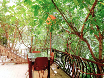 تصویر باغ ویلا استخر سرپوشیده سارینا