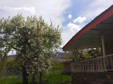 تصویر ویلای ییلاقی دربست در روستای قلعه پاچه