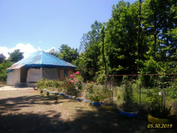 تصویر کلبه جنگلی