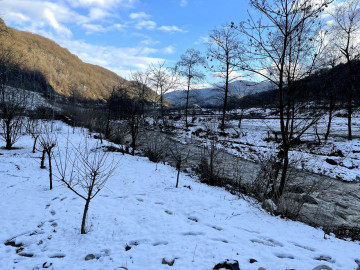 تصویر ویلا لوکس سبز سوادکوه