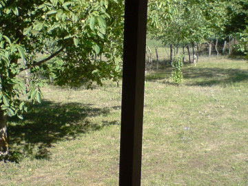 تصویر ویلای جنگلی حیاط دار دربست تالش