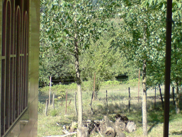 تصویر ویلای جنگلی حیاط دار دربست تالش