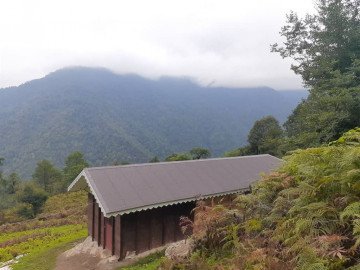 تصویر کلبه چوبی در ارتفاعات ماسال