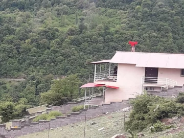 عکس دالخانی 