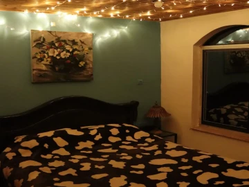 تصویر مینی پنت جکوزی با تراس گاردن 