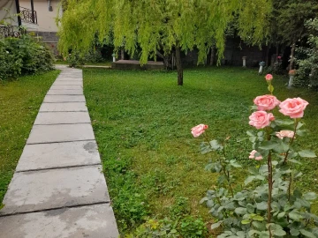 تصویر دلفان (1) 