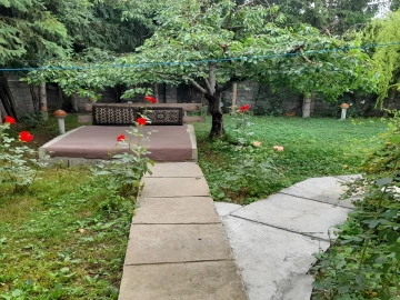 تصویر دلفان (1) 