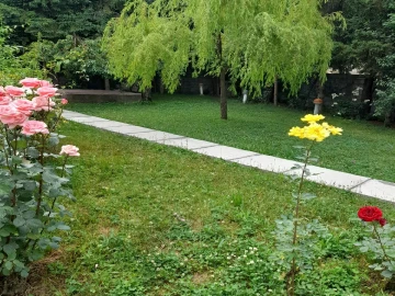 عکس شکوفه