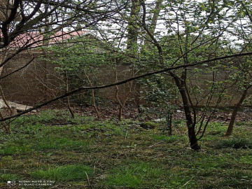 تصویر اجاره روزانه خانه ویلایی