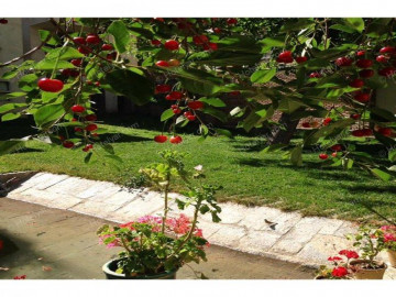 عکس هتل آپارتمان سرای پدری خوانسار